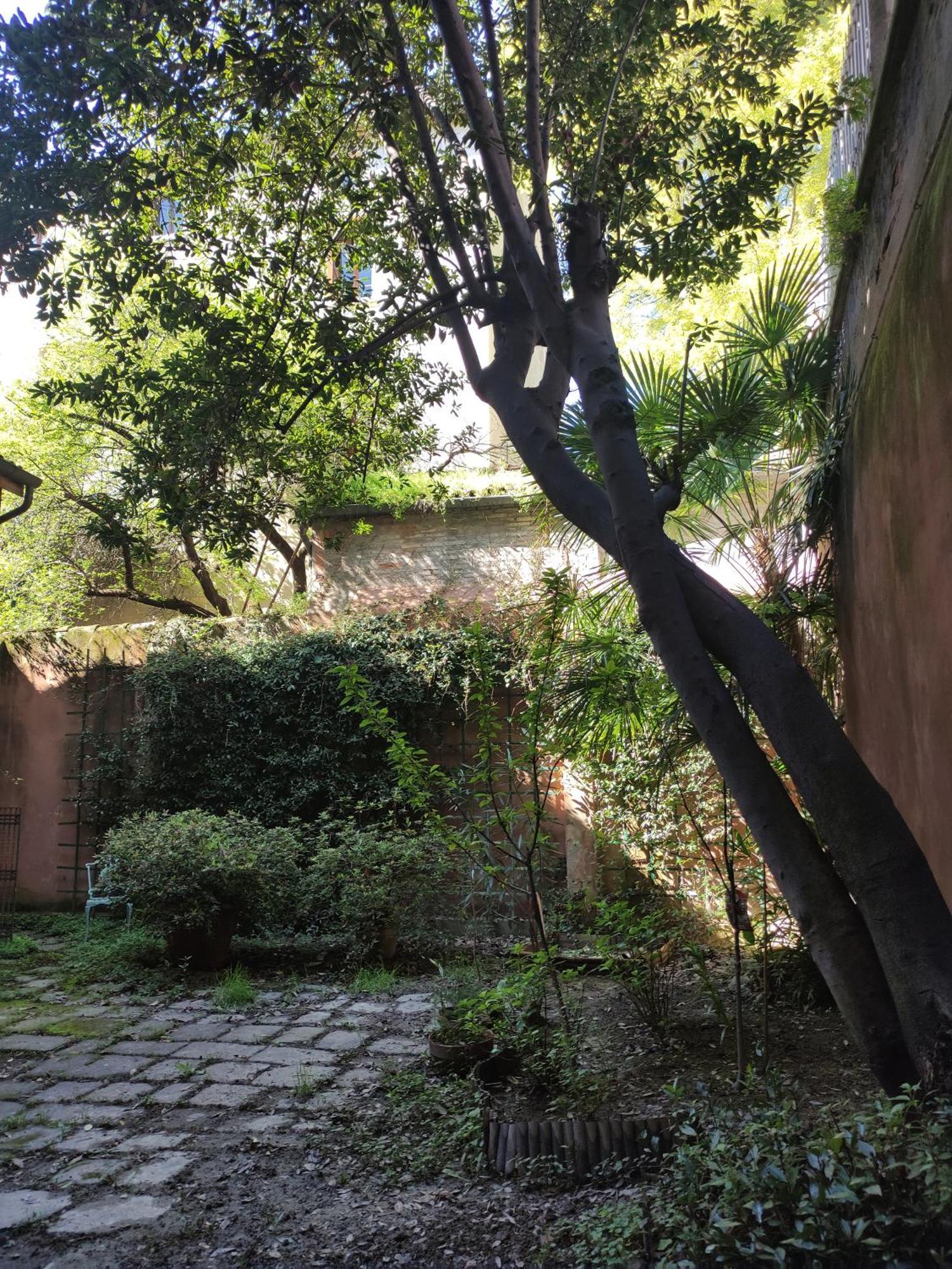 Loft Loggia Al Santo Apartment Padova Exterior photo